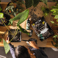 PON-substrate BLACKSTONEPON 12 liter for houseplants
