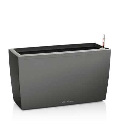 CARARO Premium 75