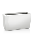 CARARO Premium 75