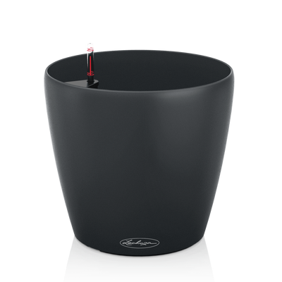 CLASSICO Color 60