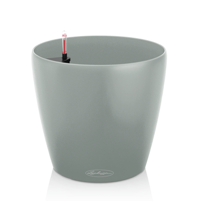 CLASSICO Color 43