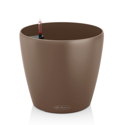 CLASSICO Color 21