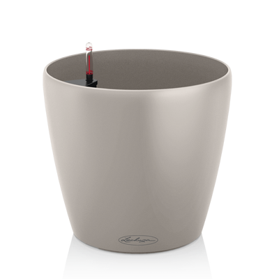 CLASSICO Color 21