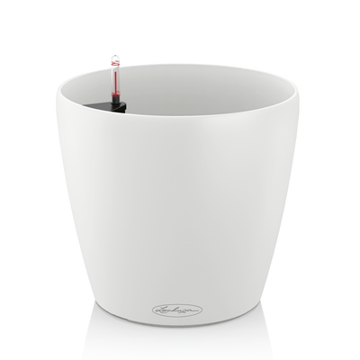 CLASSICO Color 28