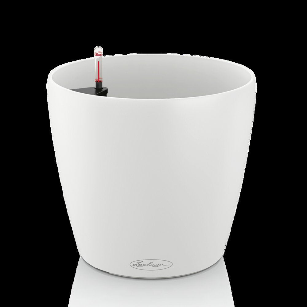 CLASSICO Color 21