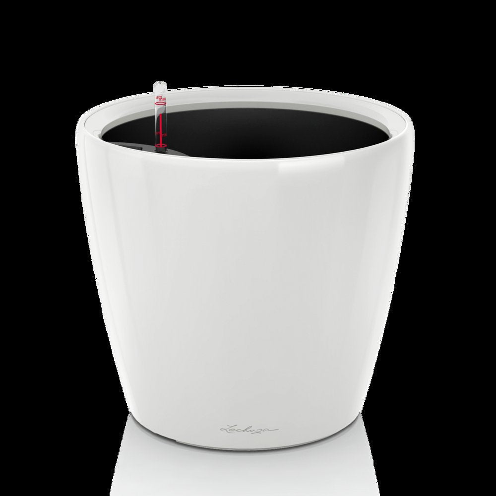 CLASSICO Premium 21 LS