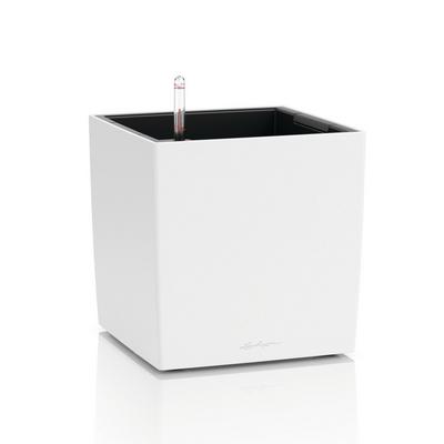 CUBE Color 14