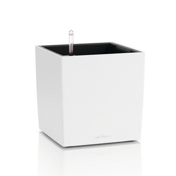 CUBE Color 14