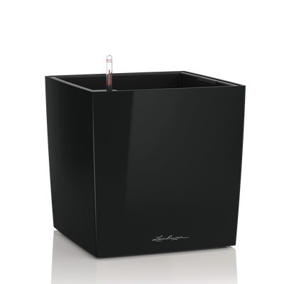 CUBE Premium 50