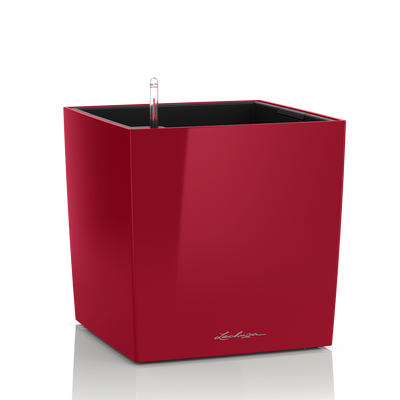 CUBE Premium 40