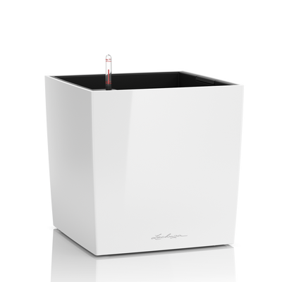 CUBE Premium 30