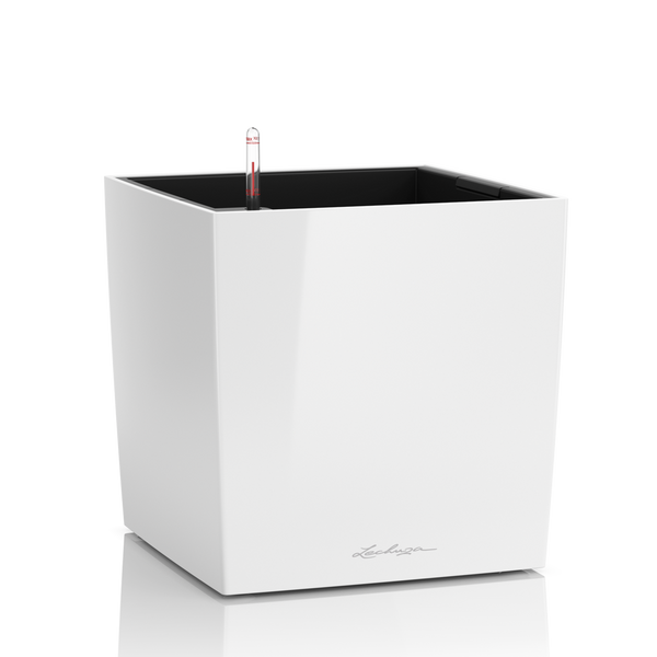CUBE Premium 50