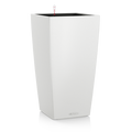 CUBICO Color 30