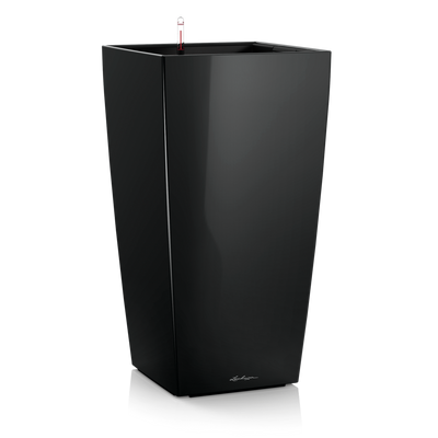 CUBICO Premium 50