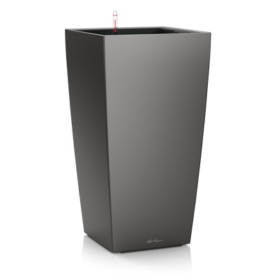 CUBICO Premium 50