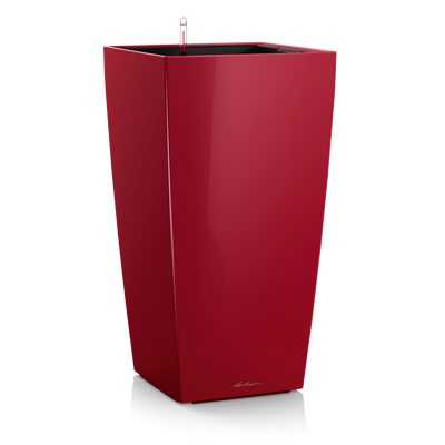 CUBICO Premium 50