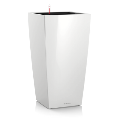 CUBICO Premium 50