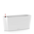 DELTA 20