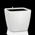 QUADRO Premium 21 LS