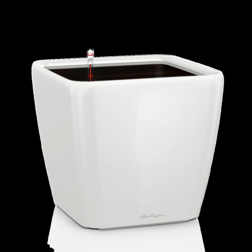 QUADRO Premium 43 LS